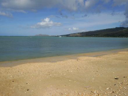 Portlock Paradise - 3+BR Home