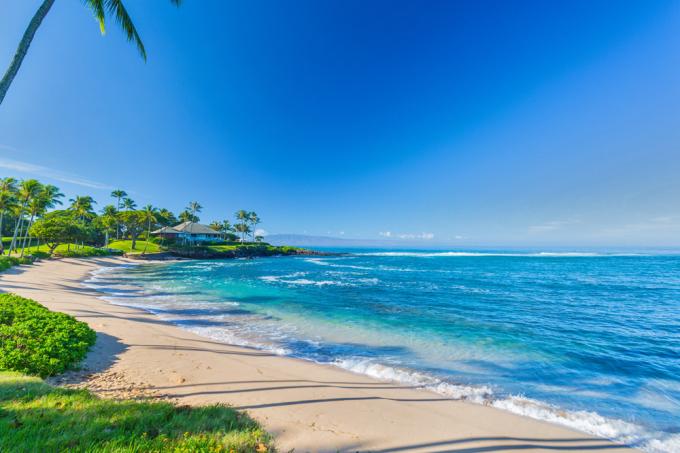 Ocean Dreams Villa 2203 at Montage Kapalua Bay photo 5