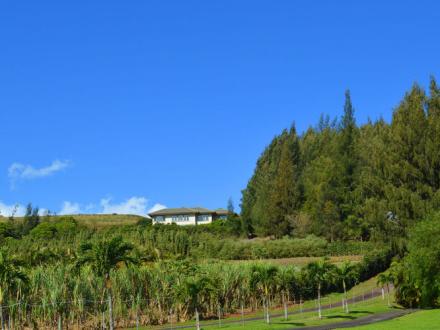 Haiku vacation rental: MVP Pinnacle Cottage - 2BR Home