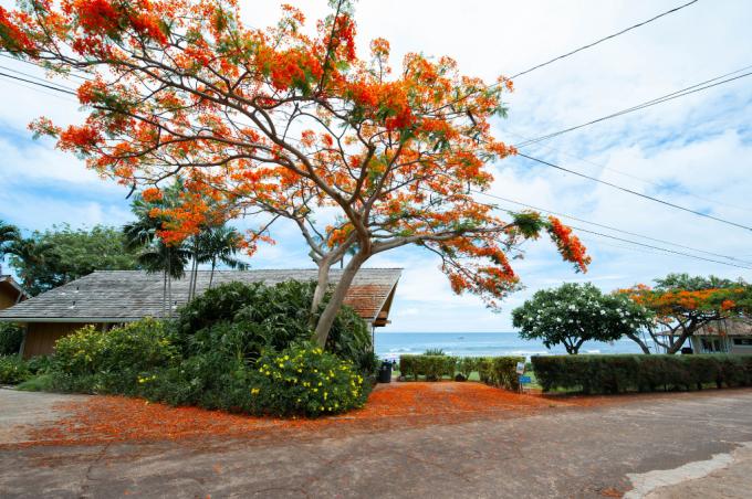 Hale Kai - 2BR Home Poipu photo 4