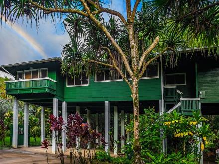 Kauai Tree House - 3BR Home River View