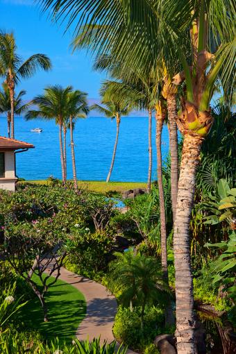 Sun Splash C301 at Wailea Beach Villas photo 4