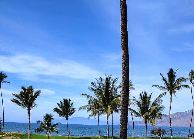 Maui Sunset - 3BR Condo Ocean View #223B photo 4