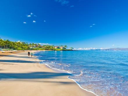 Mango Surf Beach Front Villa