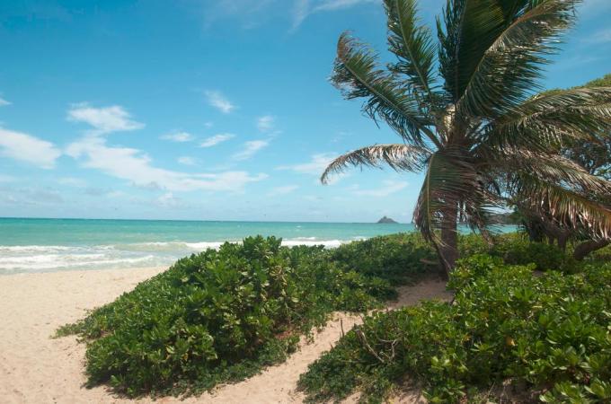 Kaapuni Kainani- Steps away from beach photo 1