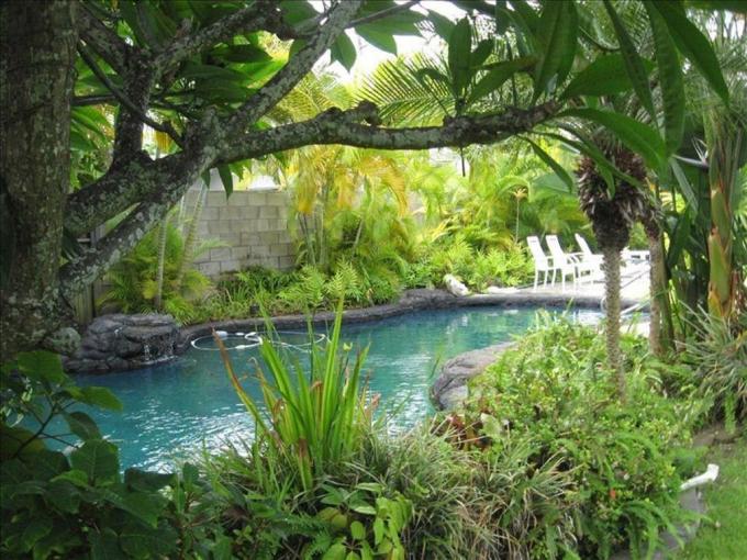 Tropical Breeze - Studio Cottage photo 2