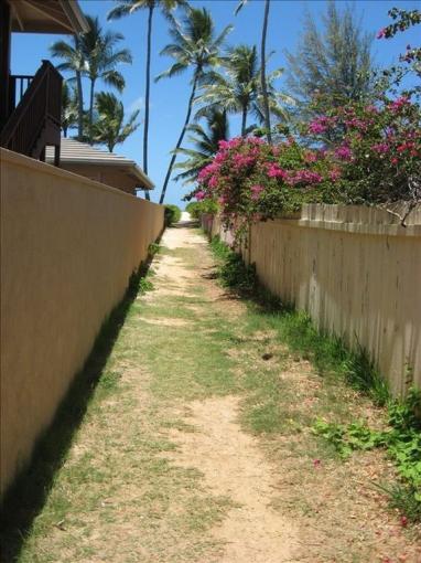 Tropical Breeze - Studio Cottage photo 4