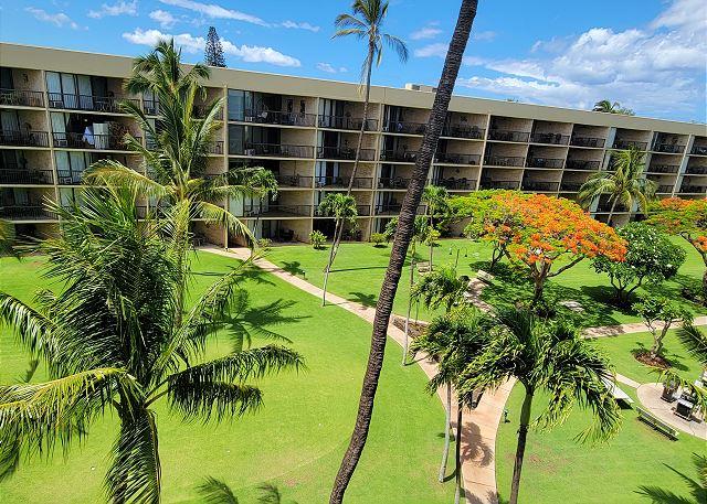 Maui Sunset - 1BR Condo Ocean View #507A photo 4
