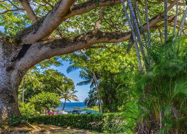 Princeville condo rental: Puamana - 2BR Condo Ocean View #21D
