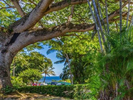 Puamana - 2BR Condo Ocean View #21D