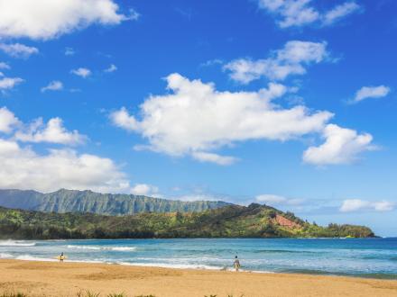 Hanalei Ohana Cottage - 2BR Home