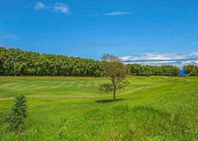 Princeville vacation rental: Hale A Kai - 4BR Golf Course View Home