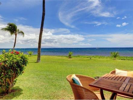 Sugar Beach - 1BR Condo Beach Front #129