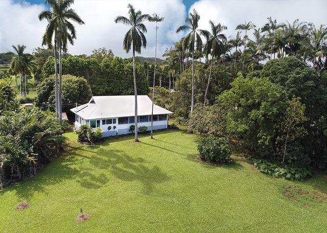 Hilo vacation rental: My Hilo Home - 4BR Home - Garden View