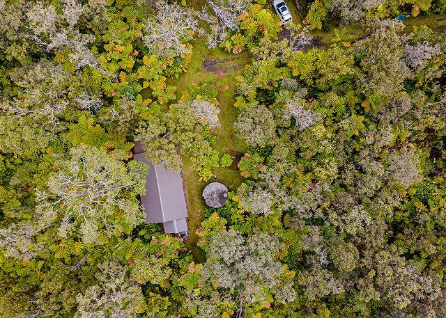 p39668_full_67fd8f3df0f9e9.45567847.jpg