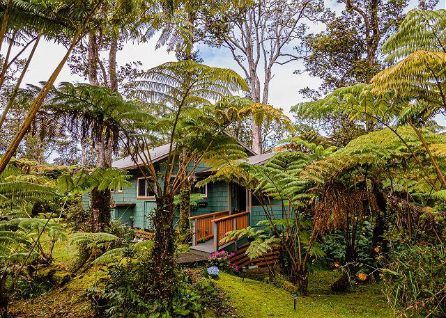 Volcano vacation rental: Volcano Kahaualea - 1BR Cottage