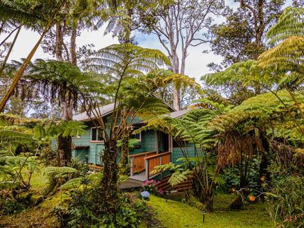 Volcano vacation rental: Volcano Kahaualea - 1BR Cottage