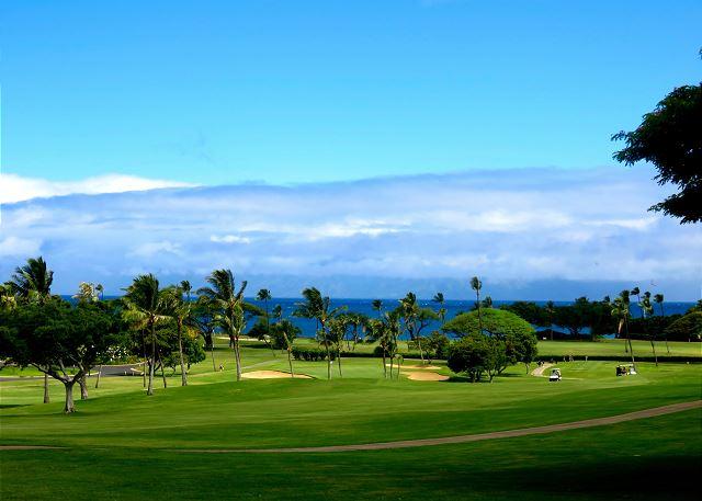 p39773_full_6a7aba923e9103.25936821.jpg