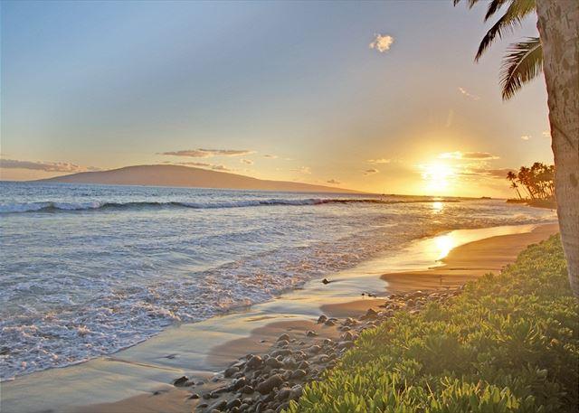 Lahaina condo rental: Puamana - 2BR Townhome Garden View #80-3