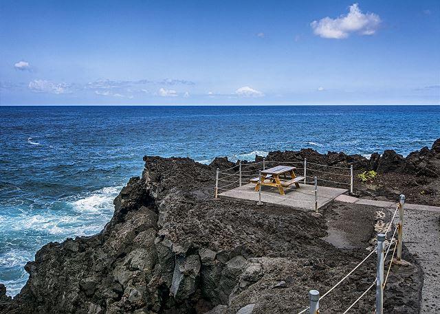 p40036_full_6a72d234a116e1.22300683.jpg