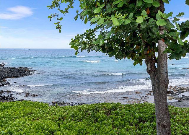 Kona condo rental: Keauhou Kona Surf and Racquet Club - 2BR Townhome Ocean View #4