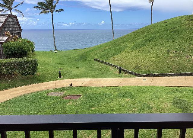 Princeville condo rental: Sealodge - 1BR Condo #B6