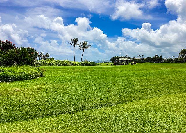 Princeville condo rental: Kamahana 23