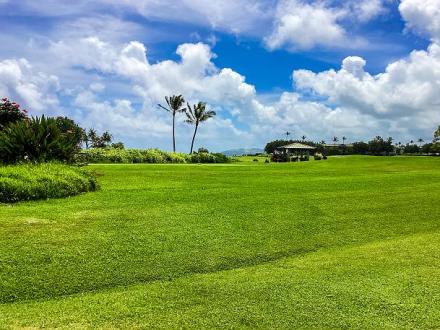 Kamahana 23