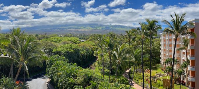 Blue Ocean Suite H401 at Wailea Beach Villas photo 2
