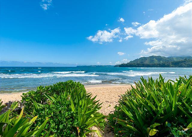Hanalei Colony Resort I2 photo 2