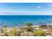 p40799_gallery_69bc28a0d3e805.48217276.jpg