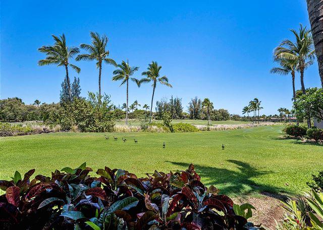 Colony Villas at Waikoloa Beach Resort 1305 - 3BR Home King #1305 photo 3