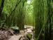 p40908_gallery_6a7abf49bbd2e1.80782555.jpg