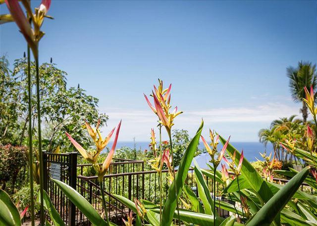 Kona Westwind - 2BR Condo Ocean View King #1 photo 4