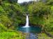 p41319_gallery_6a7abb7116d4d8.69939133.jpg