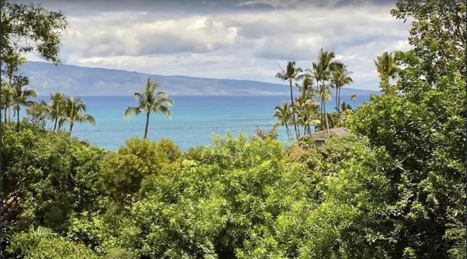 Hale Napili - 5BR Home + Private Hot Tub photo 3