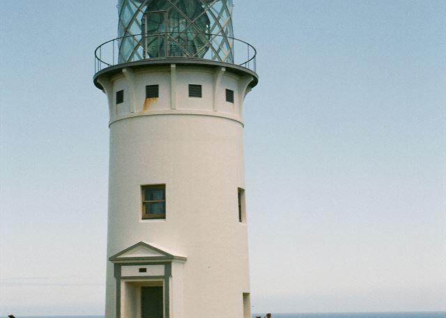 p41436_full_6a5c186da98084.43370726.jpg