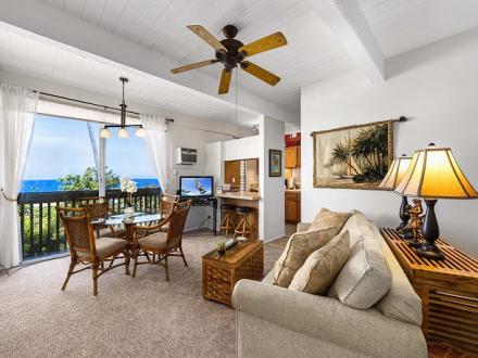 Kona Mansions - 1BR Condo King #211