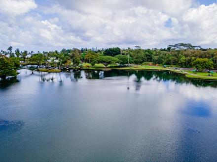 Hilo Lagoon Center - Studio #520