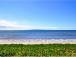 p41527_gallery_64ac7dbad605b1.60256867.jpg