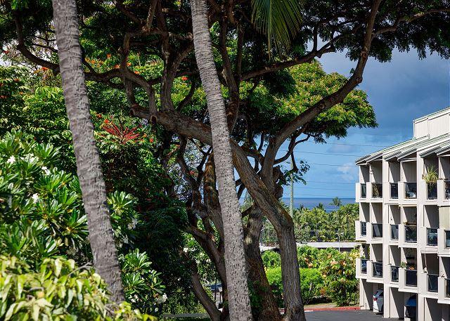 Kailua Bay Resort - 1BR Condo King #4-206 photo 2