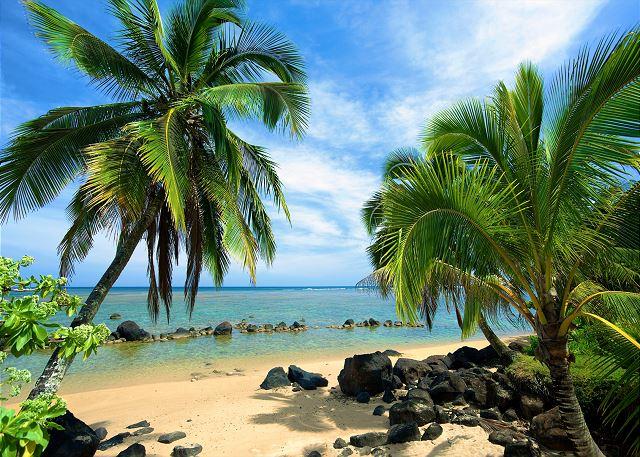Princeville condo rental: Paniolo - 1BR Condo #204B