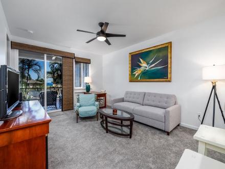 Alii Cove - 2BR Condo King #U2