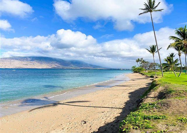 Maui Sunset - 1BR Condo Ocean View #116A photo 3
