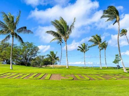 Maui Sunset - 1BR Condo Ocean View #116A