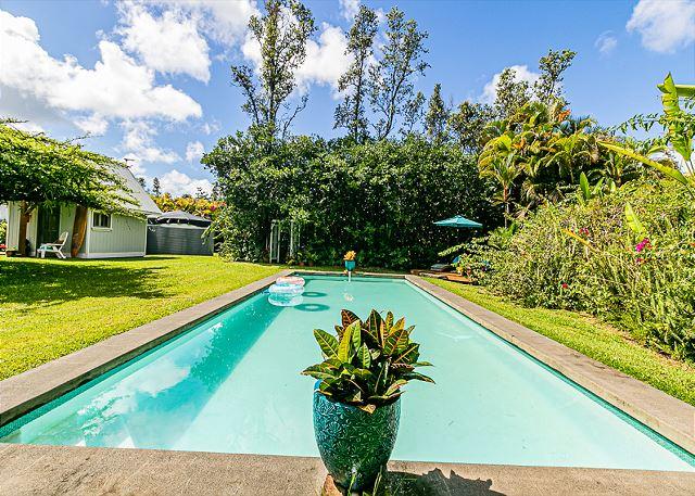 Jungle Estate - 3BR Home photo 2