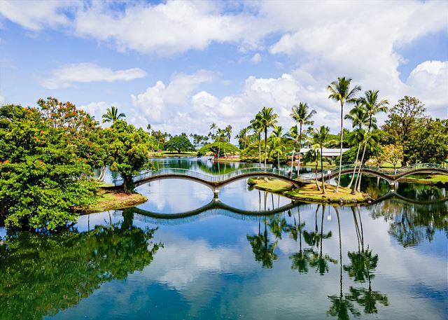 Hilo Lagoon Centre - 2BR Condo Ocean View #814 photo 2