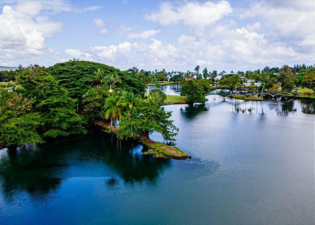 Hilo Lagoon Centre - 2BR Condo Ocean View #814 photo 5
