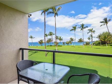 Kihei Surfside - 1BR Condo #213