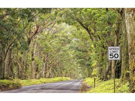 Poipu condo rental: Kahala - 1BR Condo #412